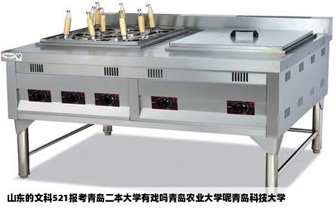 山东的文科521报考青岛二本大学有戏吗青岛农业大学呢青岛科技大学