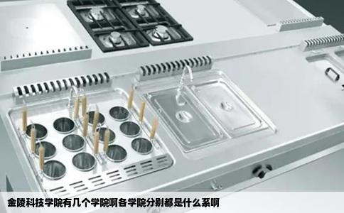 金陵科技学院有几个学院啊各学院分别都是什么系啊