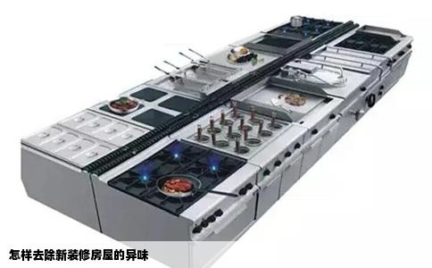 怎样去除新装修房屋的异味