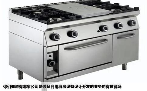 你们知道有哪家公司是涉及商用厨房设备设计开发的业务的有推荐吗