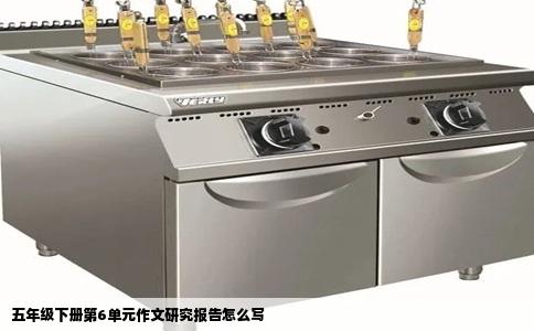 五年级下册第6单元作文研究报告怎么写