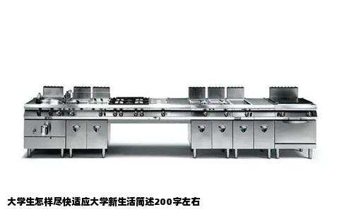 大学生怎样尽快适应大学新生活简述200字左右