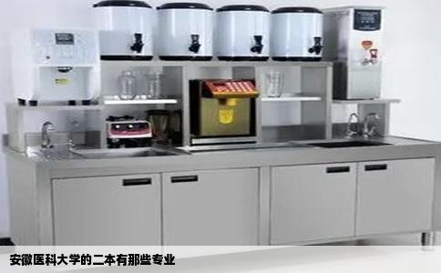 安徽医科大学的二本有那些专业