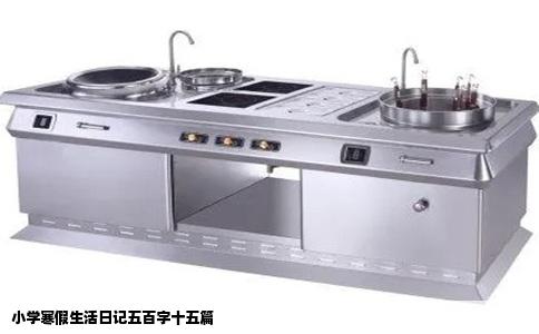 小学寒假生活日记五百字十五篇