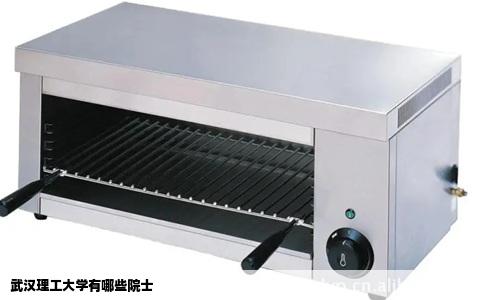武汉理工大学有哪些院士