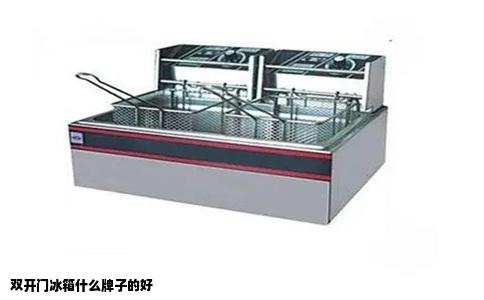 双开门冰箱什么牌子的好