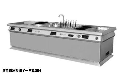 猪肉放冰箱冻了一年能吧吗