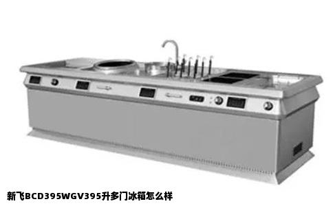 新飞BCD395WGV395升多门冰箱怎么样
