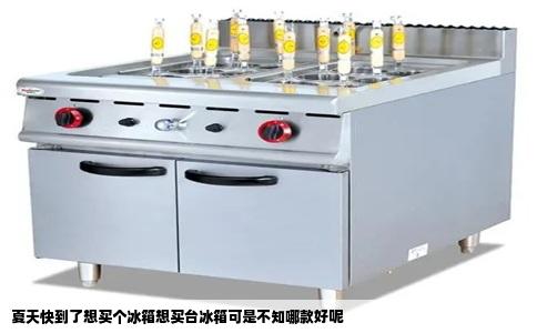 夏天快到了想买个冰箱想买台冰箱可是不知哪款好呢