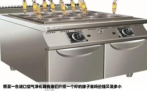 想买一台进口空气净化器有亲们介绍一个好的牌子来吗价钱又是多小