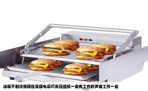 冰箱不制冷他现在是插电后灯亮压缩机一直有工作的声音工作一会