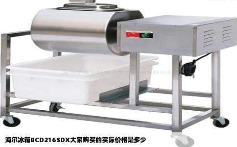 海尔冰箱BCD216SDX大家购买的实际价格是多少