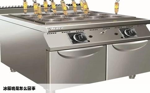 冰箱响是怎么回事