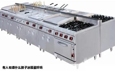 有人知道什么牌子冰箱最好吗
