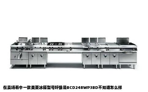 在卖场看中一款美菱冰箱型号好像是BCD248WP3BD不知道怎么样