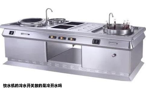 饮水机的冷水开关放的是冷开水吗