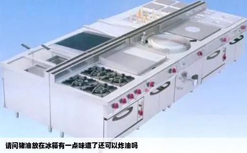 请问猪油放在冰箱有一点味道了还可以炸油吗
