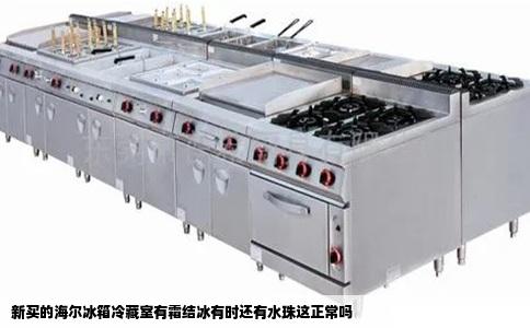 新买的海尔冰箱冷藏室有霜结冰有时还有水珠这正常吗