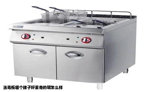 消毒柜哪个牌子好索奇的呢怎么样