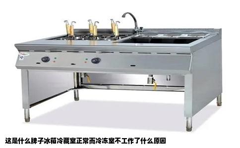 这是什么牌子冰箱冷藏室正常而冷冻室不工作了什么原因