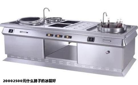 20002500元什么牌子的冰箱好