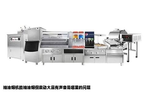 抽油烟机能抽油烟但震动大且有声音是哪里的问题