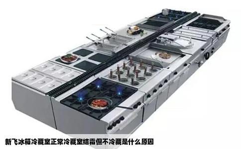 新飞冰箱冷藏室正常冷藏室结霜但不冷藏是什么原因