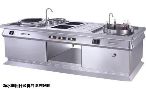 净水器用什么样的滤芯好呢