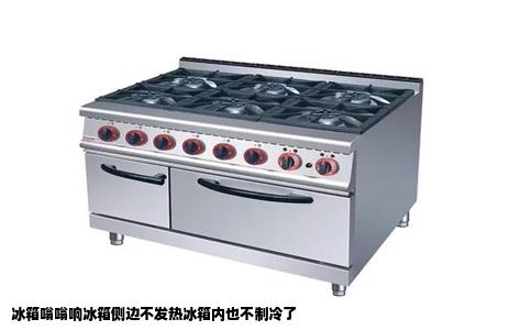 冰箱嗡嗡响冰箱侧边不发热冰箱内也不制冷了