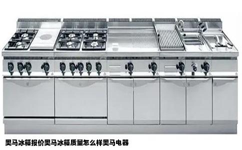 奥马冰箱报价奥马冰箱质量怎么样奥马电器