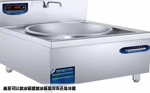 扁豆可以放冰箱媛放冰箱是冷冻还是冷藏