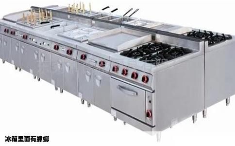 冰箱里面有蟑螂