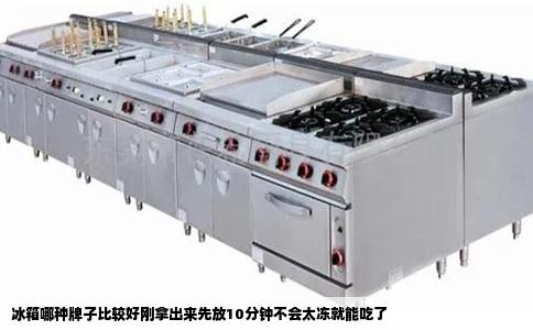 冰箱哪种牌子比较好刚拿出来先放10分钟不会太冻就能吃了