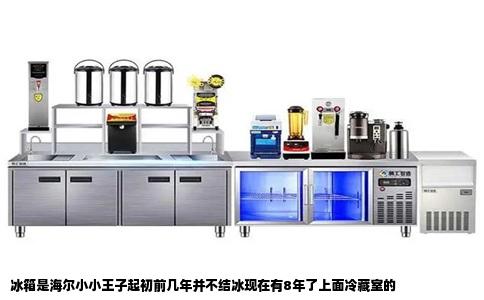 冰箱是海尔小小王子起初前几年并不结冰现在有8年了上面冷藏室的