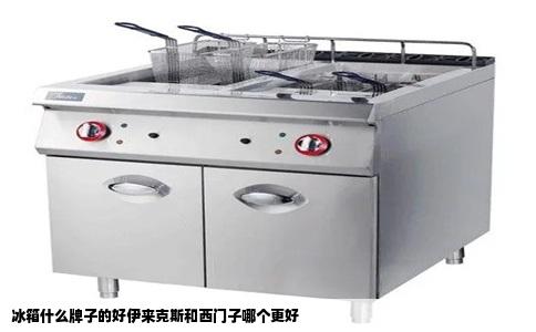 冰箱什么牌子的好伊来克斯和西门子哪个更好