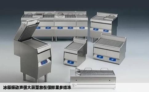 冰箱振动声很大蔬菜放在保鲜里多结冻