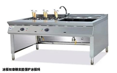 冰箱知音确实能保护冰箱吗