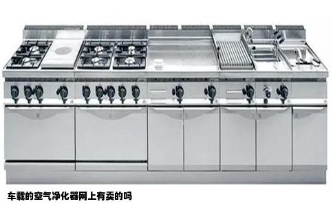 车载的空气净化器网上有卖的吗