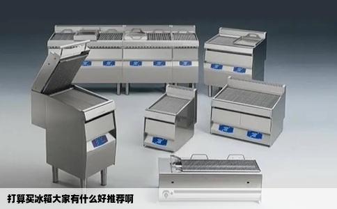 打算买冰箱大家有什么好推荐啊