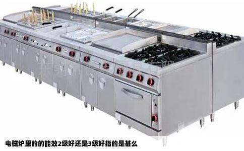 电磁炉里的的能效2级好还是3级好指的是甚么