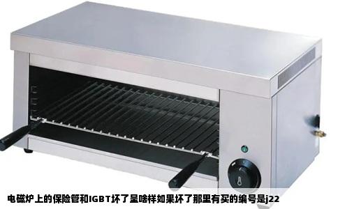电磁炉上的保险管和IGBT坏了呈啥样如果坏了那里有买的编号是j22