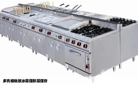 多肉植物放冰箱保鲜层保存