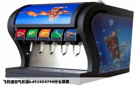 飞利浦空气炸锅hd92404790什么意思