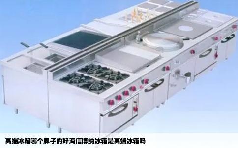 高端冰箱哪个牌子的好海信博纳冰箱是高端冰箱吗