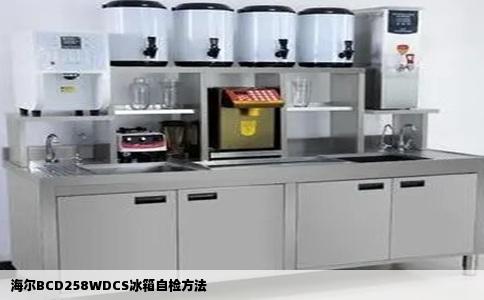海尔BCD258WDCS冰箱自检方法