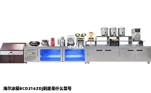 海尔冰箱BCD216ZDJ到底是什么型号