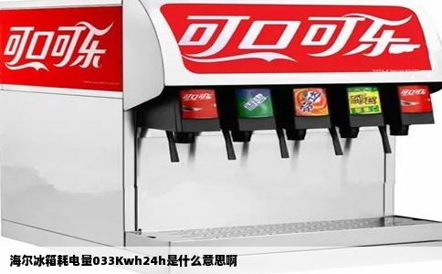 海尔冰箱耗电量033Kwh24h是什么意思啊