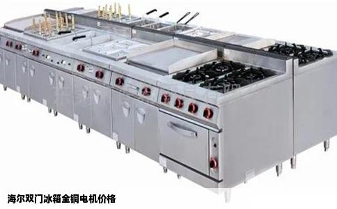 海尔双门冰箱全铜电机价格