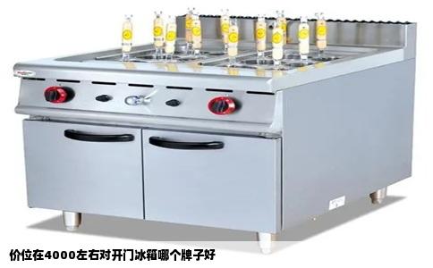 价位在4000左右对开门冰箱哪个牌子好