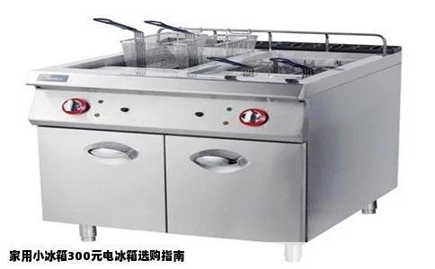 家用小冰箱300元电冰箱选购指南